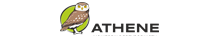 Athene